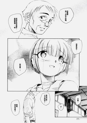 第213頁圖