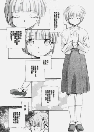 第216頁圖