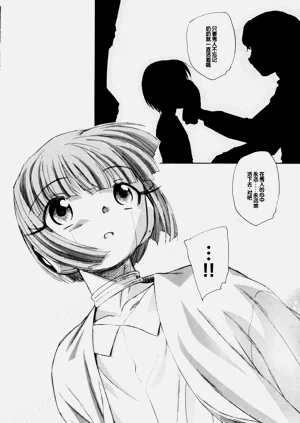第219頁圖