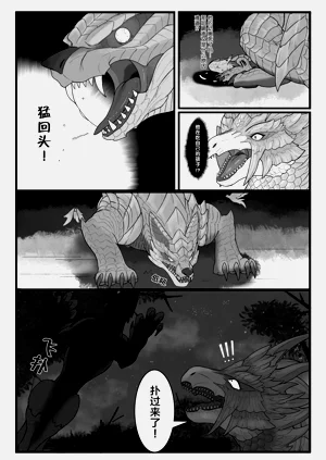 第10页图