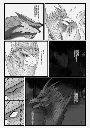 第13页图