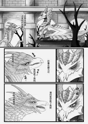 第17页图