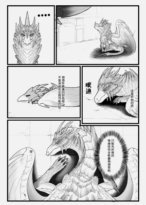 第20页图
