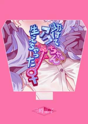 第22頁圖