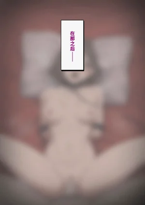 第295頁圖