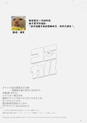 第66頁圖