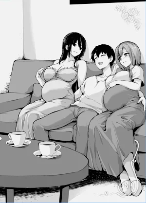 第223頁圖