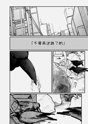第31頁圖