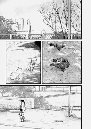 第80頁圖