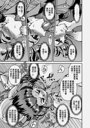 第117頁圖