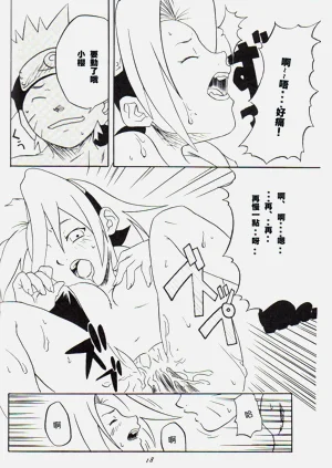 第17頁圖