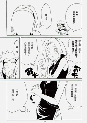 第46頁圖