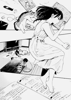 第20頁圖
