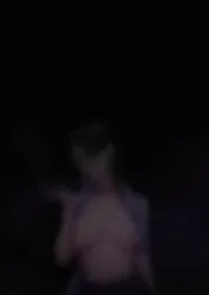 第108页图
