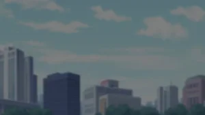 第211頁圖