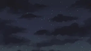 第215頁圖