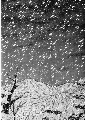 第194頁圖