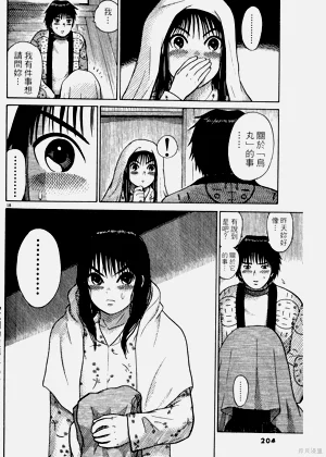 第204頁圖