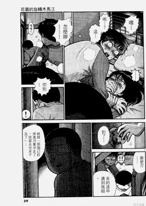第29頁圖