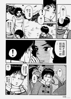 第110頁圖