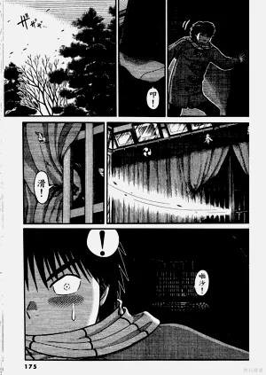 第175頁圖