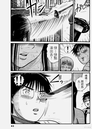 第43頁圖