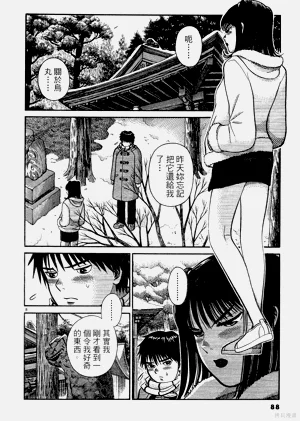 第88頁圖