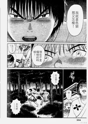 第206页图