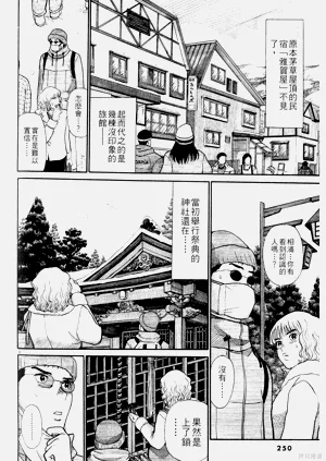 第250页图