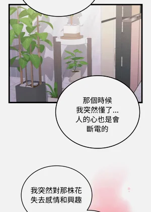 第124頁圖