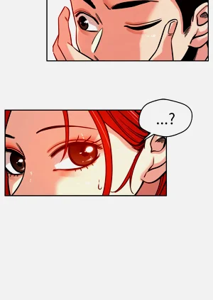 第115页图