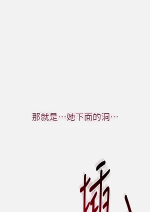 第244頁圖