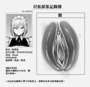 第17页图