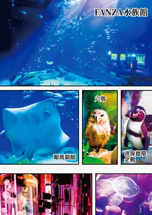 第192頁圖