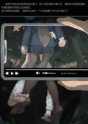 第8页图
