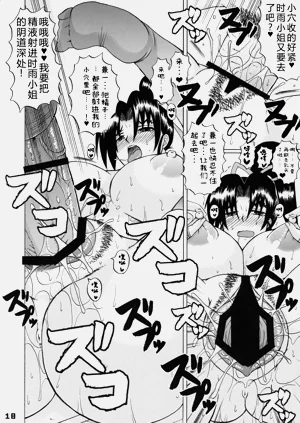 第17页图