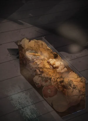 第75頁圖