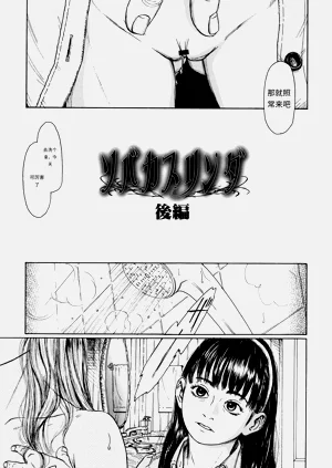 第172頁圖