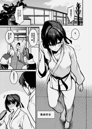 第3页图