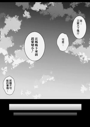 第20页图