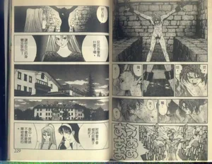第116頁圖