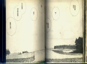 第30頁圖