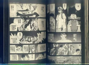 第45頁圖