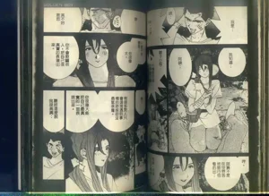 第71頁圖