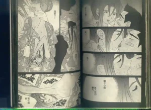 第80頁圖
