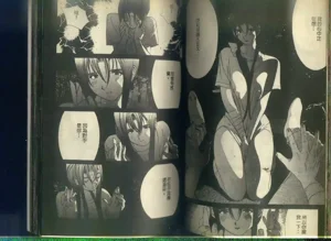 第91頁圖