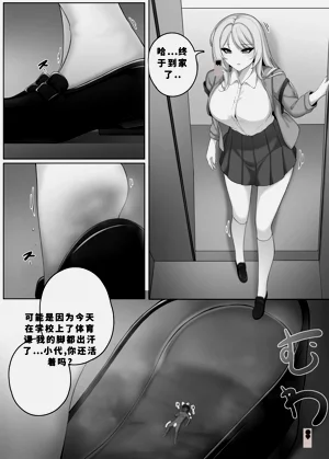 第151頁圖