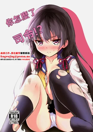 Doushita Shirei!? | 你怎么了司令!?图