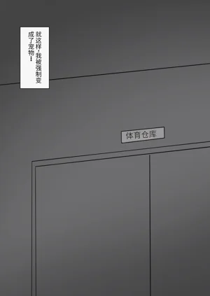 第28页图