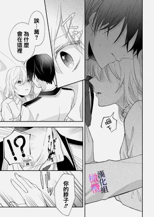第21頁圖